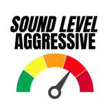 2022-2025 Toyota Tundra Carven Exhaust Cut & Clamp Muffler Replacement Kit 9 2022-2025 Toyota Tundra Carven Exhaust Cut & Clamp Muffler Replacement Kit - Image 7