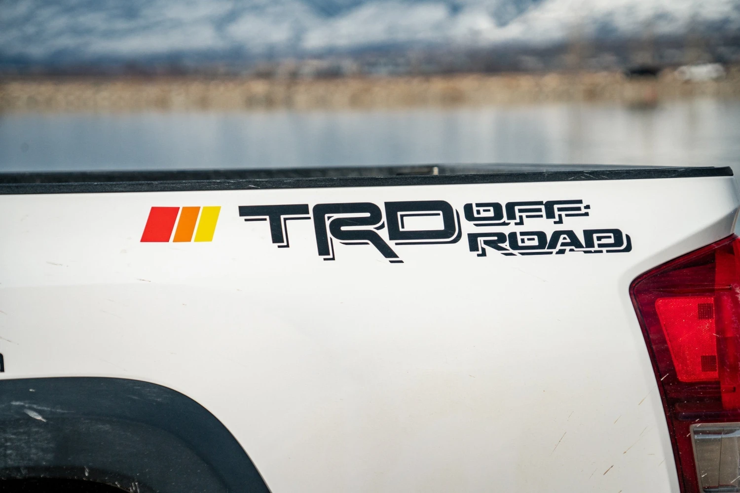 Rear Classic Decals 4 Rear Classic Decals - Image 2