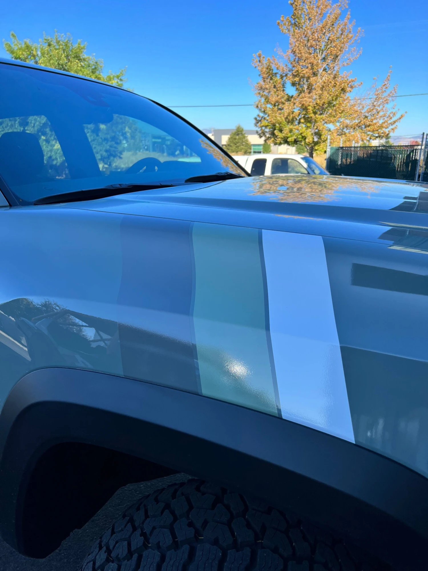 Large Universal Stripes 8 Large Universal Stripes - Image 6